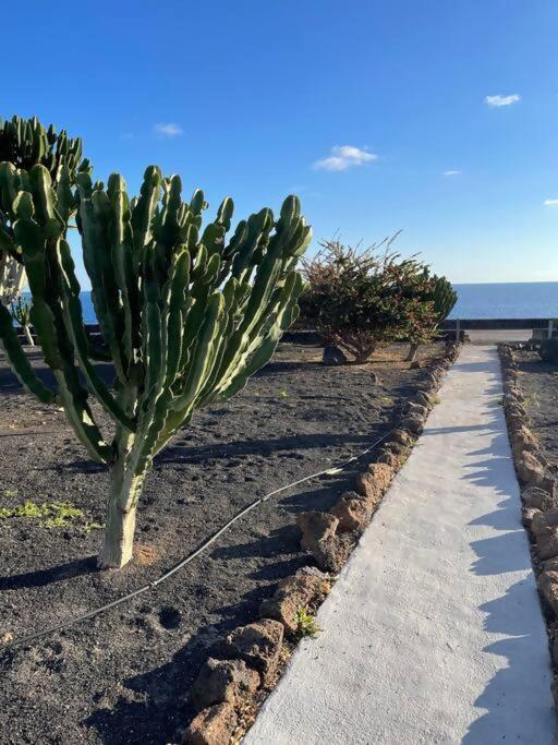 Precioso Rincon Entre El Mar Y Los Volcanes Costa Teguise Zewnętrze zdjęcie